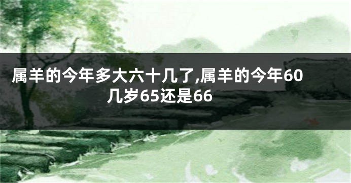 属羊的今年多大六十几了,属羊的今年60几岁65还是66