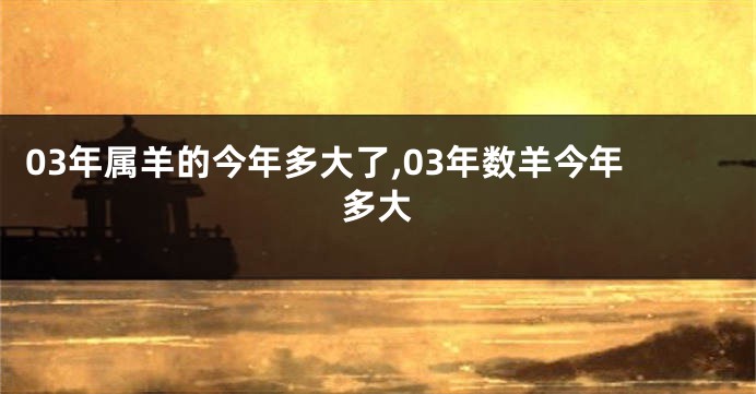 03年属羊的今年多大了,03年数羊今年多大