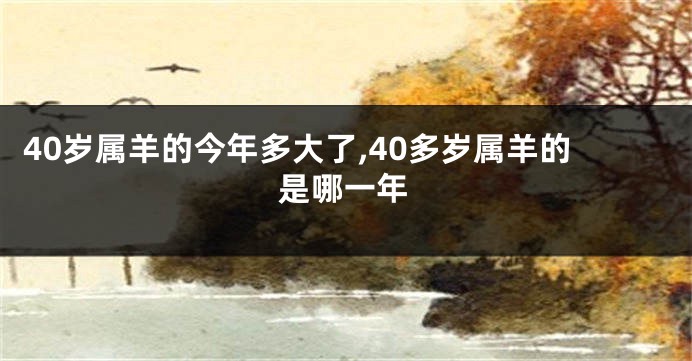 40岁属羊的今年多大了,40多岁属羊的是哪一年