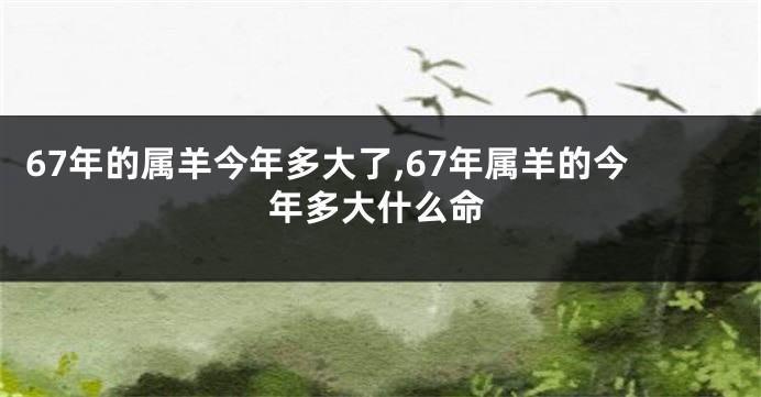 67年的属羊今年多大了,67年属羊的今年多大什么命