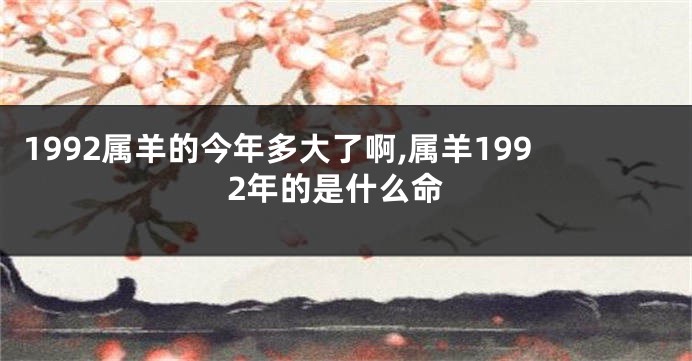 1992属羊的今年多大了啊,属羊1992年的是什么命