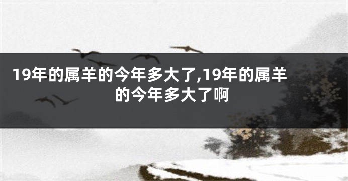 19年的属羊的今年多大了,19年的属羊的今年多大了啊