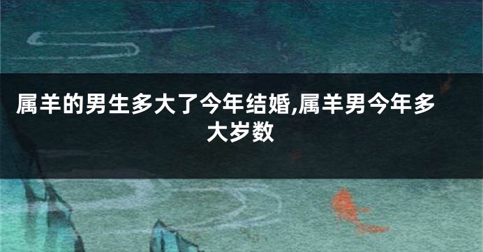 属羊的男生多大了今年结婚,属羊男今年多大岁数