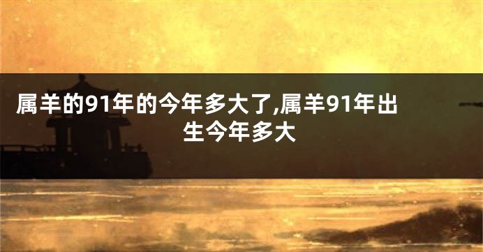 属羊的91年的今年多大了,属羊91年出生今年多大