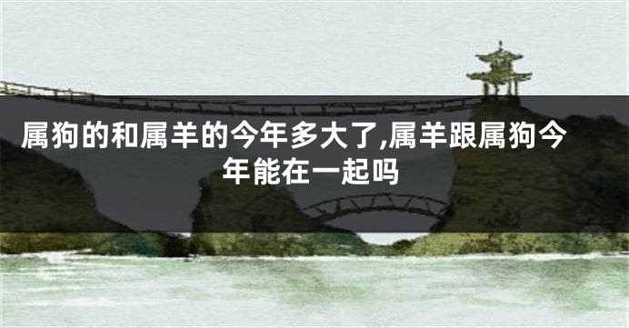 属狗的和属羊的今年多大了,属羊跟属狗今年能在一起吗