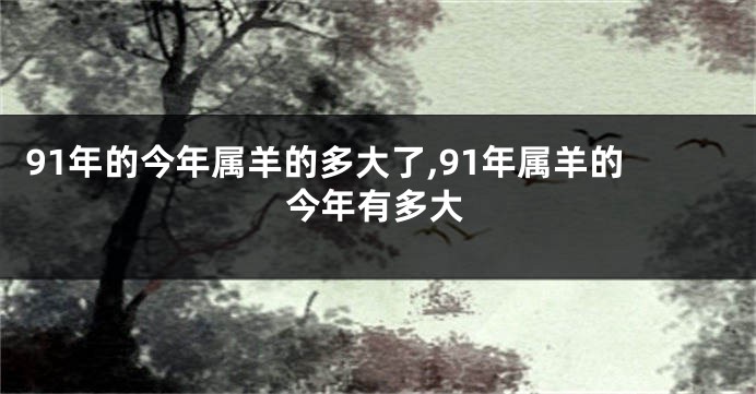 91年的今年属羊的多大了,91年属羊的今年有多大