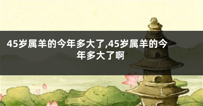 45岁属羊的今年多大了,45岁属羊的今年多大了啊