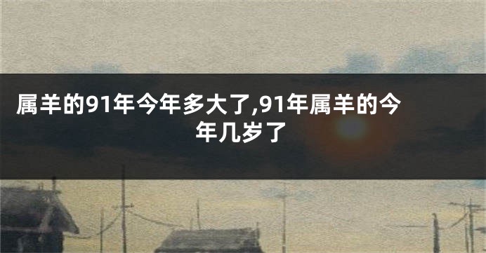 属羊的91年今年多大了,91年属羊的今年几岁了