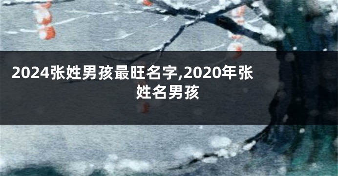 2024张姓男孩最旺名字,2020年张姓名男孩