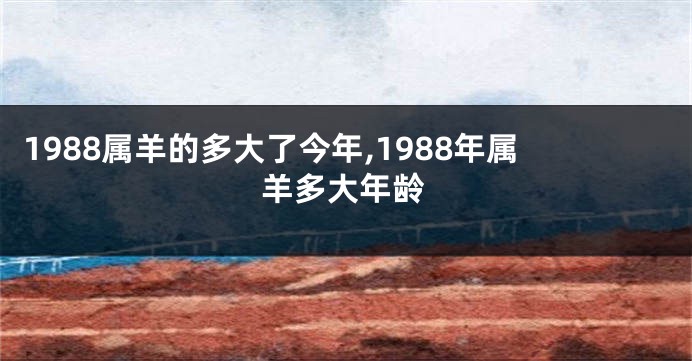 1988属羊的多大了今年,1988年属羊多大年龄