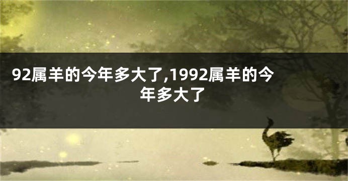 92属羊的今年多大了,1992属羊的今年多大了