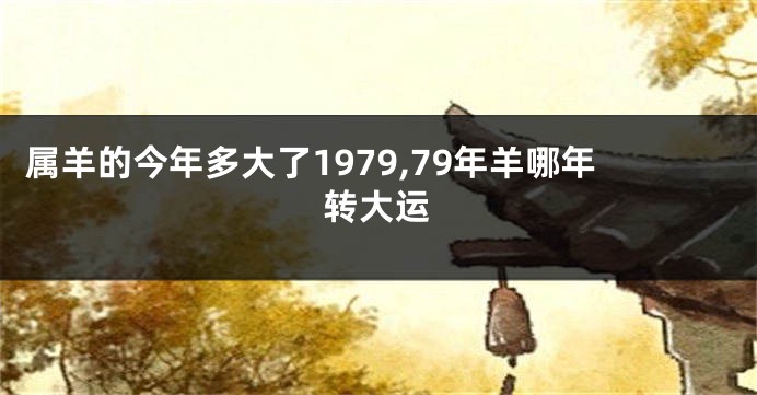 属羊的今年多大了1979,79年羊哪年转大运