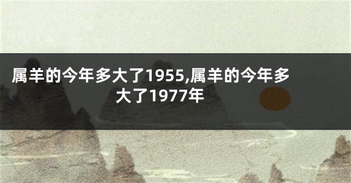 属羊的今年多大了1955,属羊的今年多大了1977年