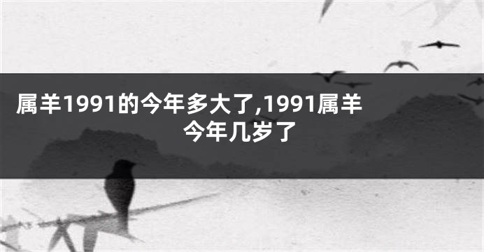 属羊1991的今年多大了,1991属羊今年几岁了