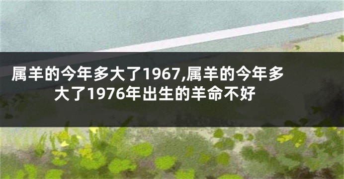 属羊的今年多大了1967,属羊的今年多大了1976年出生的羊命不好