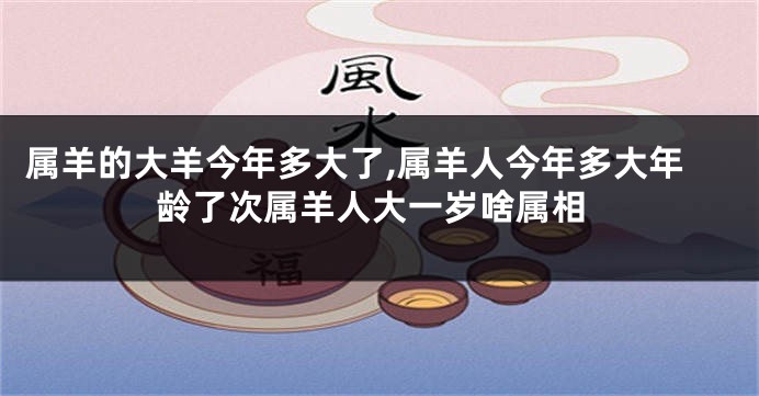 属羊的大羊今年多大了,属羊人今年多大年龄了次属羊人大一岁啥属相