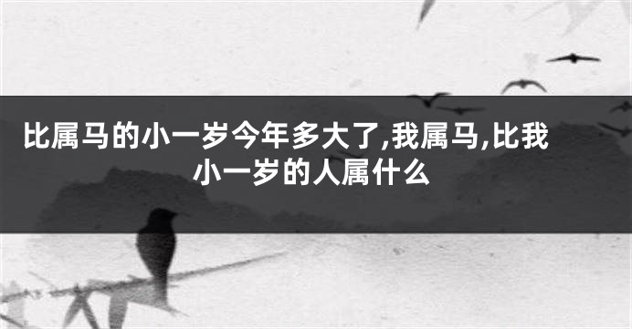 比属马的小一岁今年多大了,我属马,比我小一岁的人属什么