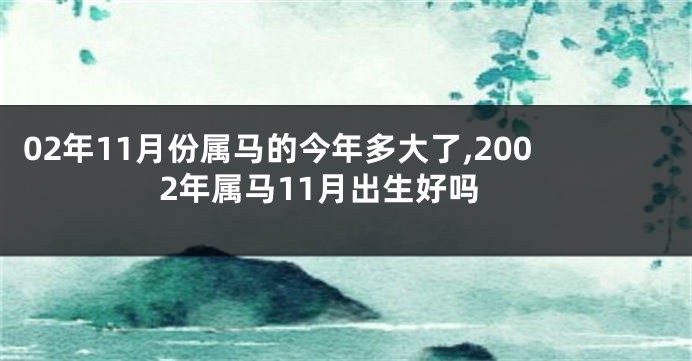 02年11月份属马的今年多大了,2002年属马11月出生好吗