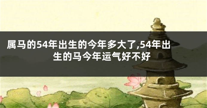 属马的54年出生的今年多大了,54年出生的马今年运气好不好