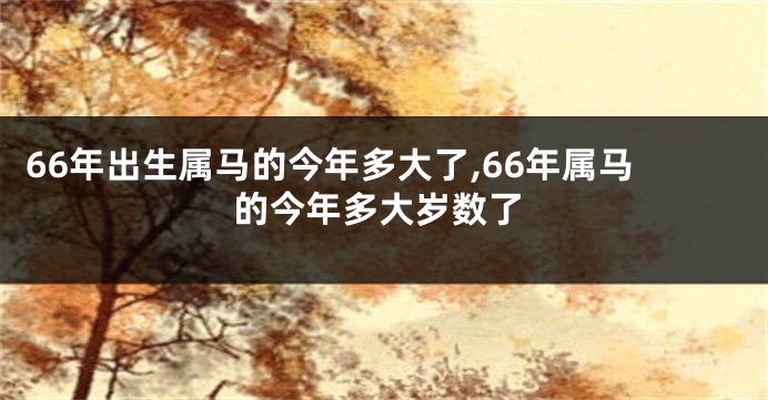 66年出生属马的今年多大了,66年属马的今年多大岁数了