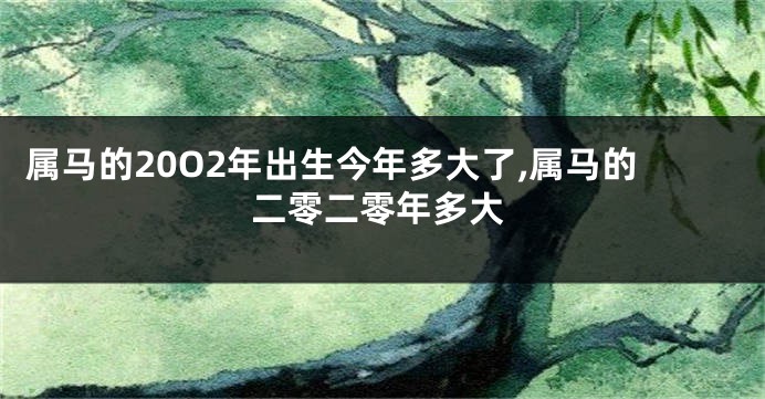 属马的20O2年出生今年多大了,属马的二零二零年多大