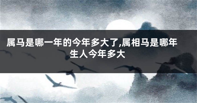 属马是哪一年的今年多大了,属相马是哪年生人今年多大