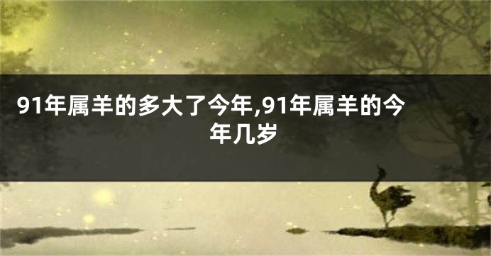 91年属羊的多大了今年,91年属羊的今年几岁