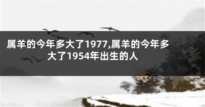 属羊的今年多大了1977,属羊的今年多大了1954年出生的人