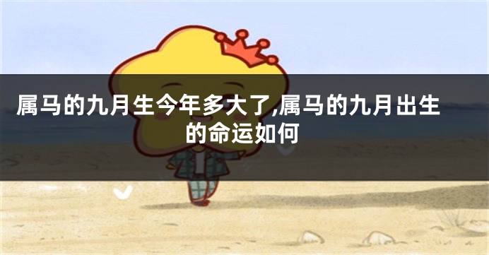 属马的九月生今年多大了,属马的九月出生的命运如何