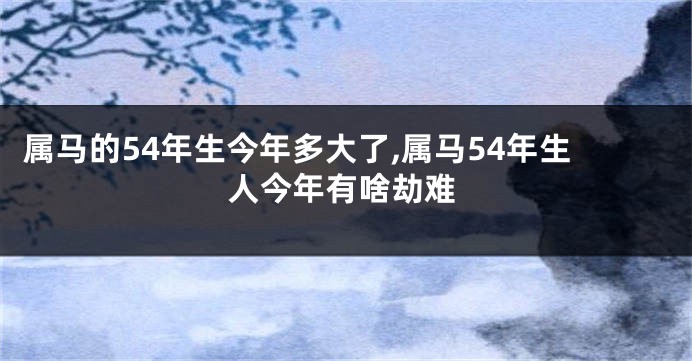 属马的54年生今年多大了,属马54年生人今年有啥劫难