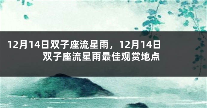 12月14日双子座流星雨，12月14日双子座流星雨最佳观赏地点