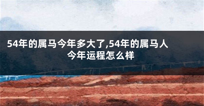 54年的属马今年多大了,54年的属马人今年运程怎么样