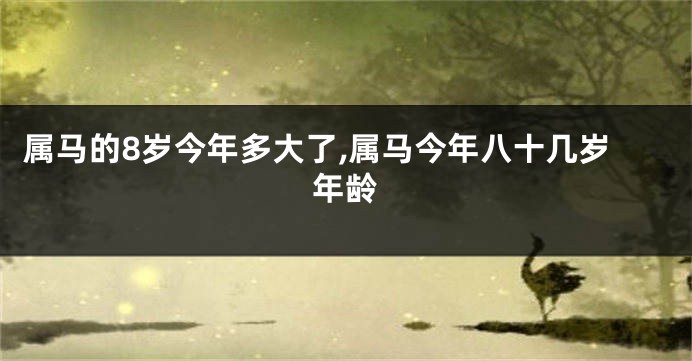 属马的8岁今年多大了,属马今年八十几岁年龄