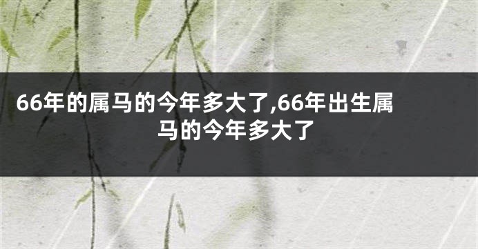 66年的属马的今年多大了,66年出生属马的今年多大了