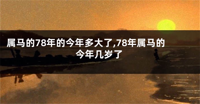 属马的78年的今年多大了,78年属马的今年几岁了