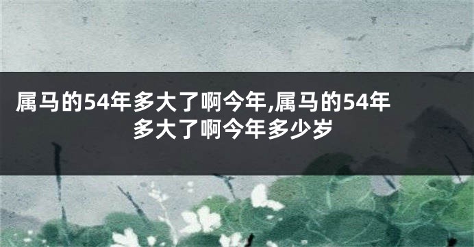 属马的54年多大了啊今年,属马的54年多大了啊今年多少岁