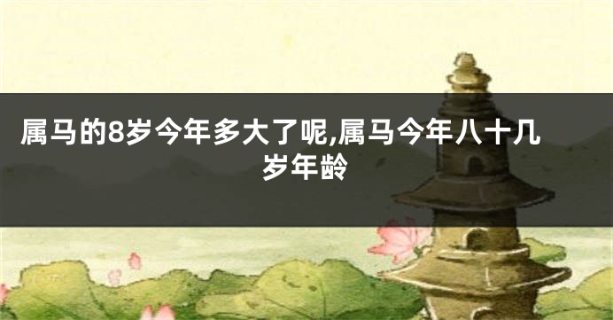 属马的8岁今年多大了呢,属马今年八十几岁年龄