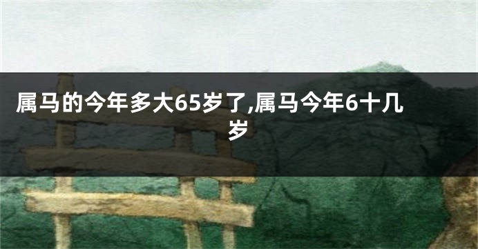 属马的今年多大65岁了,属马今年6十几岁