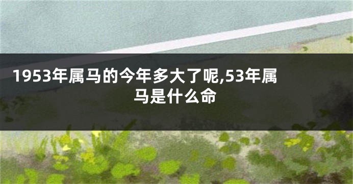 1953年属马的今年多大了呢,53年属马是什么命