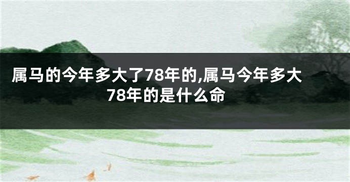 属马的今年多大了78年的,属马今年多大78年的是什么命