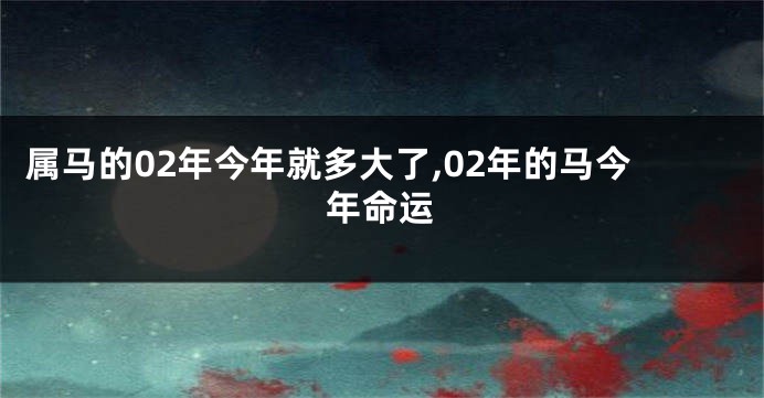 属马的02年今年就多大了,02年的马今年命运