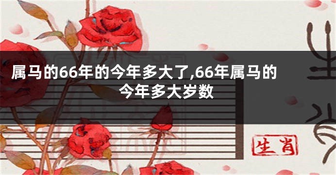 属马的66年的今年多大了,66年属马的今年多大岁数