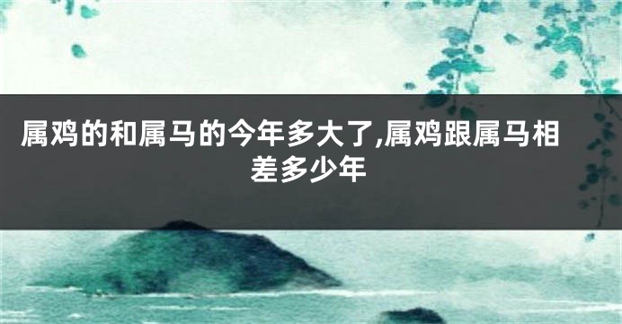 属鸡的和属马的今年多大了,属鸡跟属马相差多少年