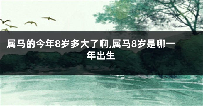 属马的今年8岁多大了啊,属马8岁是哪一年出生