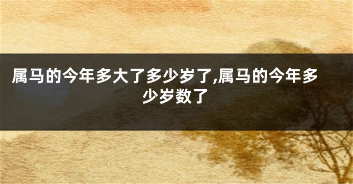 属马的今年多大了多少岁了,属马的今年多少岁数了