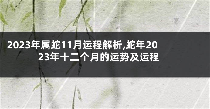 2023年属蛇11月运程解析,蛇年2023年十二个月的运势及运程