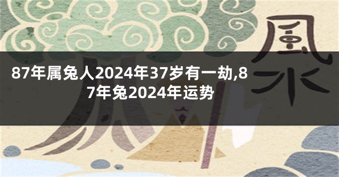 87年属兔人2024年37岁有一劫,87年兔2024年运势