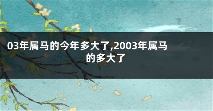 03年属马的今年多大了,2003年属马的多大了