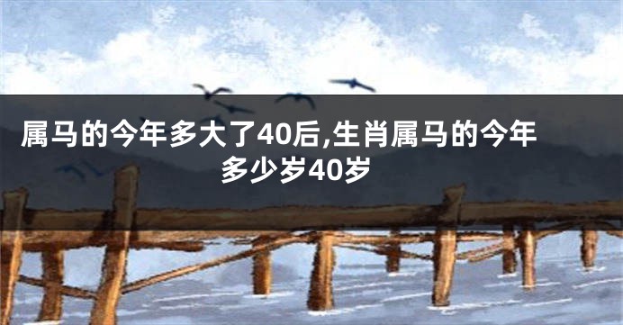 属马的今年多大了40后,生肖属马的今年多少岁40岁