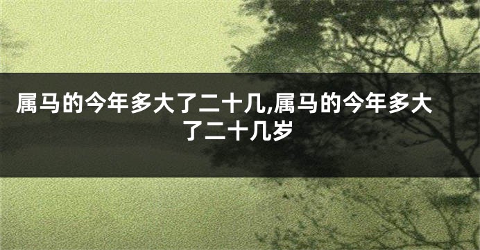 属马的今年多大了二十几,属马的今年多大了二十几岁